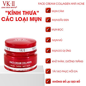 Kem Ngừa Mụn Thâm Sẹo VK II ( 10g/20g )
