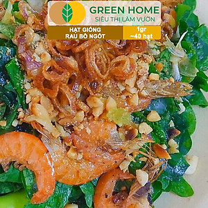 Hạt Giống Rau Bồ Ngót Greenhome, Gói 0,5g, Dễ Trồng Quanh Năm, Nảy Mầm Cao, Thu Hoạch Nhanh, Năng Suất Cao R18