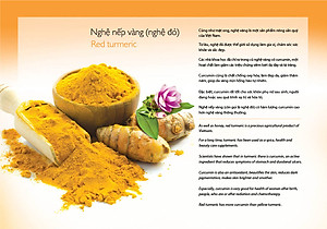 Tinh Nghệ Canxi Honimore (160g) 3 trong 1 - 10 gói Thơm ngon, dễ uống