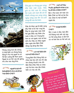 Sách Vì Sao? Như Thế Nào? Biển (Tái Bản)