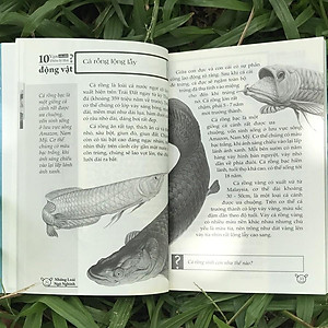 Sách 10 Vạn Điều Lý Thú Về Động Vật - Những Loài Ngộ Nghĩnh