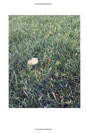 Sách Ngoại Văn - Violet Bent Backwards Over The Grass