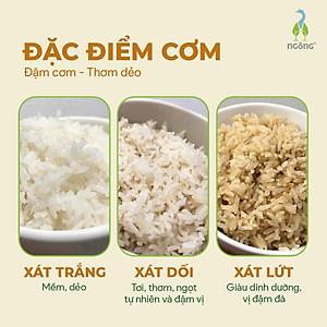 Gạo Ngỗng Sinh Thái ST25 Xát Trắng 3kg