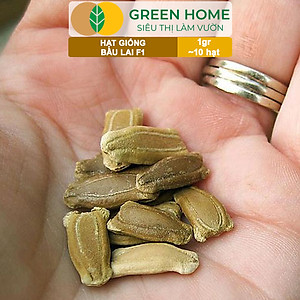 Hạt Giống Bầu Lai Greenhome, Gói 1gr~10 hạt, Dễ Trồng Quanh Năm, Nảy Mầm Cao, Thu Hoạch Nhanh, Năng Suất Cao T09