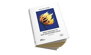 Sách Một Thoáng Ta Rực Rỡ Ở Nhân Gian - Ấn Bản Đặc Biệt 20 Năm Thành Lập Nhã Nam - Bìa Cứng