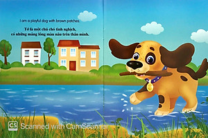 Bộ Sách Những Câu Chuyện Về Thế Giới Loài Vật 2 (Bộ 6 Cuốn)