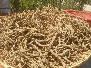 Đặc Sản Kon Tum - Sâm Dây Khô Ngọc Linh Kon Tum Tăng Cường Sức Khỏe  - OCOP 3 Sao