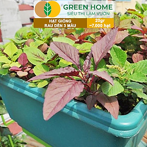 Hạt Giống Rau Dền 3 Màu Greenhome, Gói 20g~7000 hạt, Dễ Trồng Quanh Năm, Nảy Mầm Cao, Thu Hoạch Nhanh, Năng Suất Cao R15
