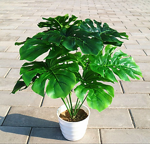 Cây hoa giả hoa nhựa monstera bonsai MeeFlower