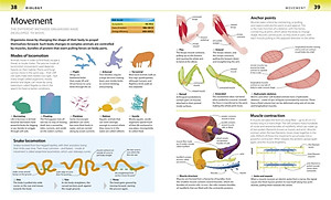 Sách Help Your Kids with Science