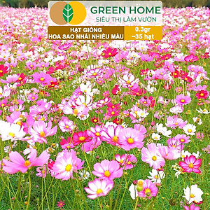 Hạt Giống Hoa Sao Nhái Mix Greenhome, Gói 0,3gr~35 hạt, Sai Hoa, Màu Rực Rỡ, Dễ Trồng Quanh Năm, Nảy Mầm Cao H13