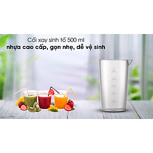 Máy xay sinh tố cầm tay Philips HR2531/00 (650W) - Hàng chính hãng
