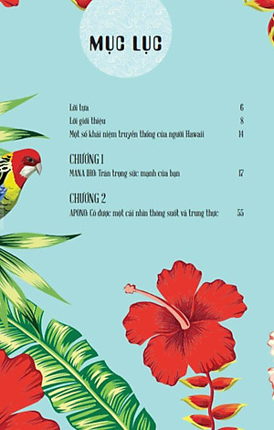 Sách Ho’Oponopono: Sống Như Người Hawaii – Chấp Nhận, Biết Ơn Và Tha Thứ