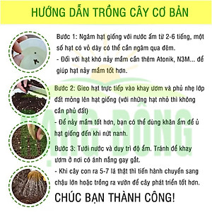 Hạt giống Khổ Qua Mỡ Trái Dài Chịu Nhiệt Tốt, Sinh Trưởng Khỏe, Trồng Quanh Năm (gói 2 gram) - Hạt giống Rạng Đông