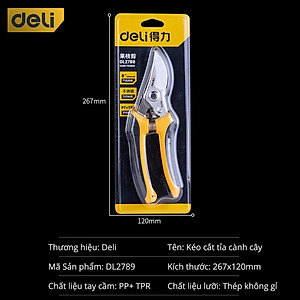 Kéo Cắt Tỉa Cành Cây Deli Chính Hãng 210mm - Lưỡi Thép Sắc Bén, Siêu Bền, Tay Cầm Đệm Cao Su An Toàn, Chắc Chắn - DL2789