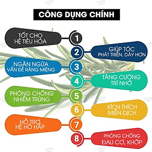 Tinh Dầu Hương Thảo Kobi Rosemary Essential Oil Giúp Tăng Cường Trí Nhớ, Giảm Căng Thẳng Mệt Mỏi Hiệu Quả