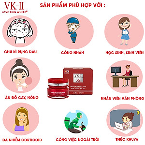 Kem Ngừa Mụn Thâm Sẹo VK II ( 10g/20g )