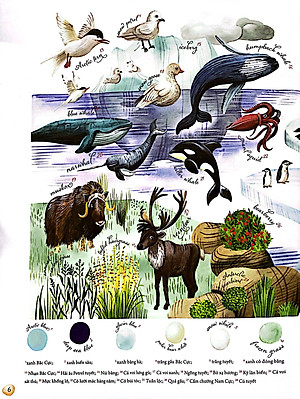 Sách Những Mảnh Ghép Đa Sắc Của Các Hệ Sinh Thái