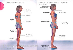 Sách Lò Xo - 15 Phút Tập Lưng (Kèm 1 DVD)