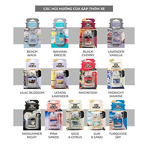 Sáp thơm xe Yankee Candle - Bahama Breeze