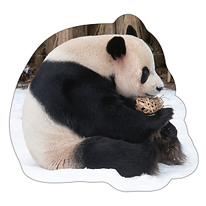 Sách Nhật Ký Hạnh Phúc Của Công Chúa Fubao - Tái Bản