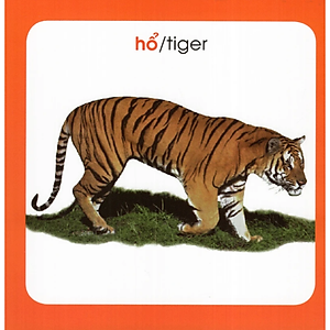 Sách Từ Điển Hình Ảnh Cho Bé: Động Vật