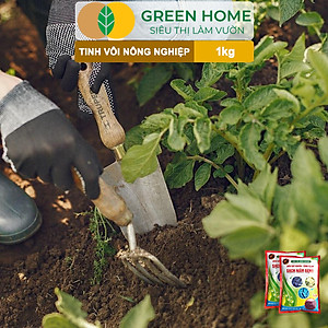 Tinh Vôi Nông Nghiệp Greenhome, Bao 1kg, Cải Tạo Đất, Sạch Nấm Bệnh, Bổ Sung Vi Lượng Giúp Lá To, Quả Nặng