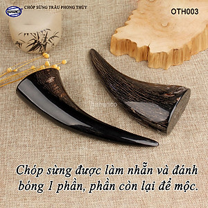 Chóp sừng trâu vật phẩm phong thủy (OTH003) HOT nhất của năm trâu vàng 2021 - giàu sang - phú quý