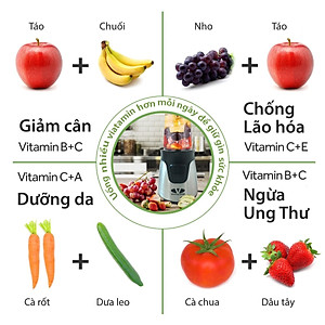 Máy xay đa năng VIAICOM V2A (4 trong 1) - Cối thủy tinh - Hàng chính hãng