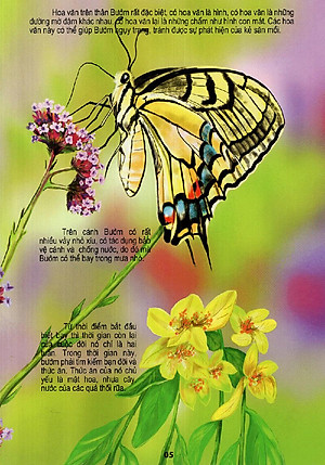 Sách Thế Giới Động Vật Kì Thú - Vườn Côn Trùng