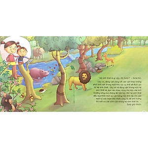 Sách Yêu Thương Và Bảo Vệ Hành Tinh Xanh - Hệ Sinh Thái Mạng Lưới Của Sự Sống