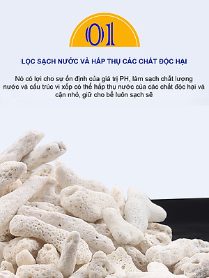 3KG San Hô Vụn vật liệu lọc hồ cá, trang trí bể cá, hồ thủy sinh cao cấp 