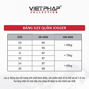 Quần Jogger Thun Cao Cấp VIỆT PHÁP/ Chất liệu cotton co dãn thoải mái sang trọng cạp chun bo 9745