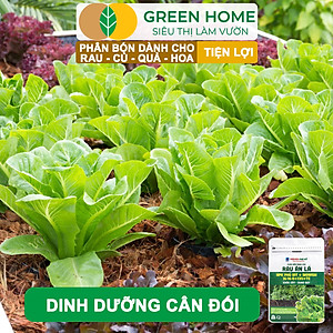 Phân Bón NPK Greenhome, Chuyên Rau Ăn Lá, Củ, Cây Ăn Trái, Hoa, Dinh Dưỡng Cân Đối, Chắc Rễ, Khoẻ Cây, Bông To, Sai Quả