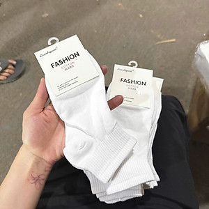 Tất vớ Trơn BASIC Trắng Cổ Ngắn Cotton Thể Thao Co Dãn Bốn Chiều Phong Cách Hàn Quốc