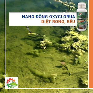 Nano đồng xử lý nước cho ao nuôi và bể cá cảnh . Chai  500ml nano đồng oxyclorua Haki chuyên diệt nấm, diệt rêu, cắt tảo, xử lý nước