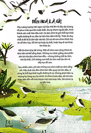 Sách Thời Cá Voi Biết Đi