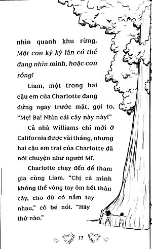 Sách Những Nàng Công Chúa Bí Ẩn - Bữa Tiệc Ngủ Ánh Sao (Tập 3)