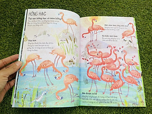 A LÊ HẤP! - THẾ GIỚI CHIM - ĐÔNG A - BẢN CỨNG IN MÀU TOÀN BỘ -