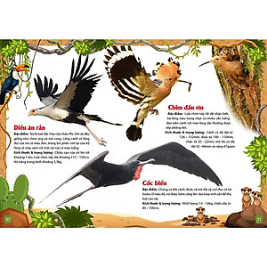 Sách - Trọn Bộ Khám Phá Động Vật 5 Châu (1 bộ 5 quyển)