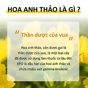 Viên uống điều hòa nội tiết tố nữ, nuôi dưỡng da Solgar Dầu Anh Thảo Evening Primrose Oil 1300 mg - NHẬP KHẨU USA