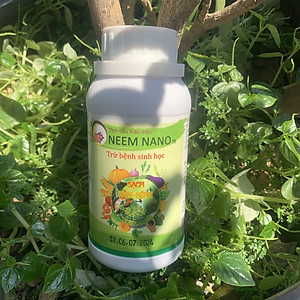 VƯỜN SINH THÁI - Thuốc trừ nấm bệnh sinh học neem nano. Quét sạch thán thư, rỉ sắt, thối nhũn, đốm đen, héo xanh, phấn trắng. 100% Thiên Nhiên