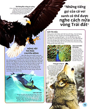 Sách Các Siêu Sao Trong Giới Động Vật