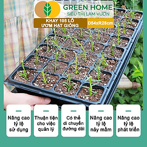 Khay Ươm Hạt Giống Greenhome, 105 Lỗ, Thoáng Rễ, Nảy Mầm Cao, Tiết Kiệm Diện Tích Ươm, Độ Bền Cao