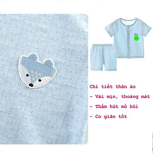 Bộ cộc tay cho bé trai gái sơ sinh quần áo sơ sinh mặc hè hàng Quảng Châu cotton xịn xuất khẩu từ 4-14kg – BCT06