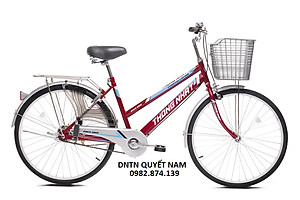 Xe đạp Thống Nhất GN 06-24 - Hàng chính hãng