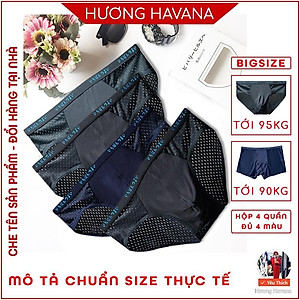Hộp 4 quần lót nam thông hơi - quần sịp nam tam giác đùi - có size lớn MLQ01
