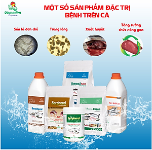 Vemedim Anti-fungi cá đặc trị nấm thủy mi, nhiễm khuẩn mang, nấm trong môi trường ao nuôi, chai 100ml