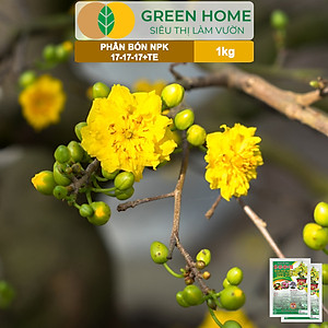 Phân Bón NPK 17-17-17, Greenhome, Gói 1kg, Bung Chồi Đọt, Thúc Nút Kim, Tạo Mầm Dưỡng Hoa