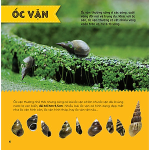 Sách Bí Ẩn Thế Giới Loài Vật